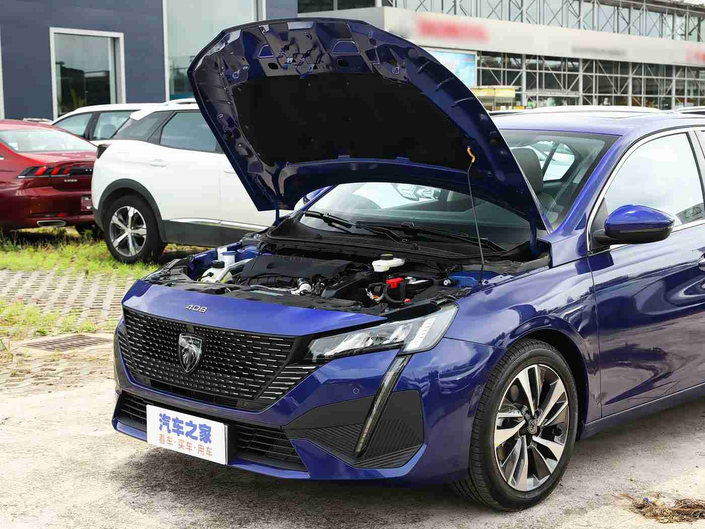 美女不穿衣服APP,科技新潮助力汽车营销，“美女社交平台”开启行业互动新篇章-2