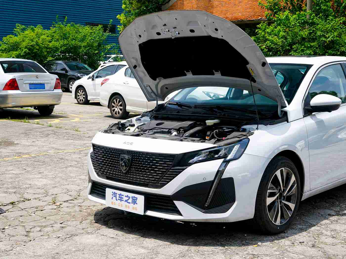 黄色软件ap,智能护航,科技领航,未来出行新境界-1