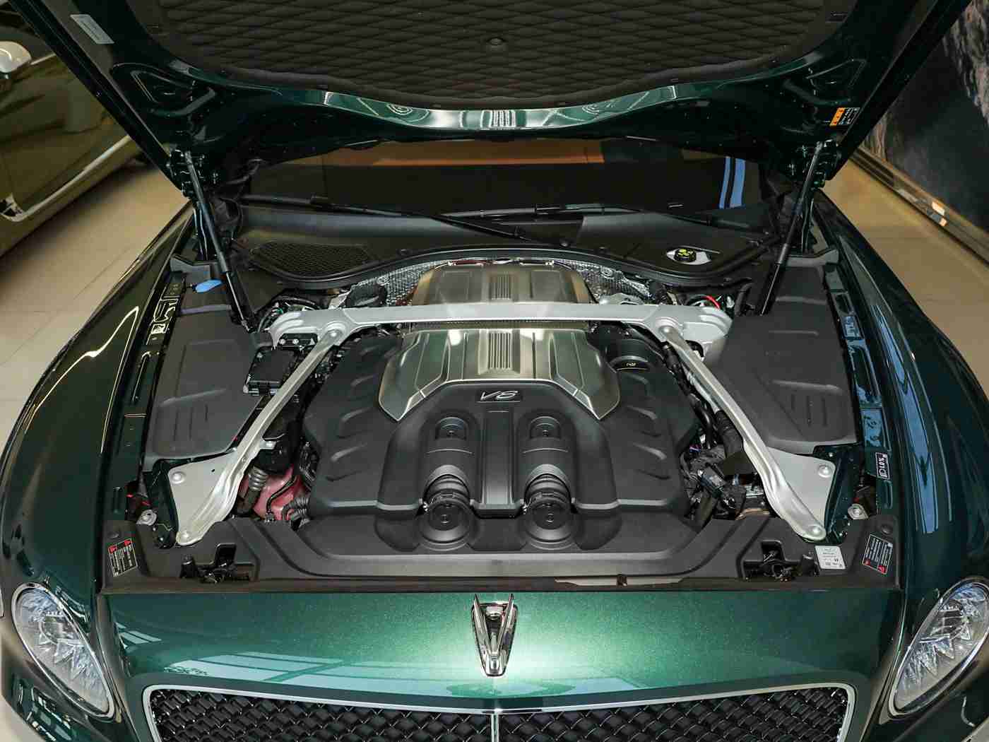 男人与雌性宠物交2O24,宠物舒享，人宠共融新纪元-1