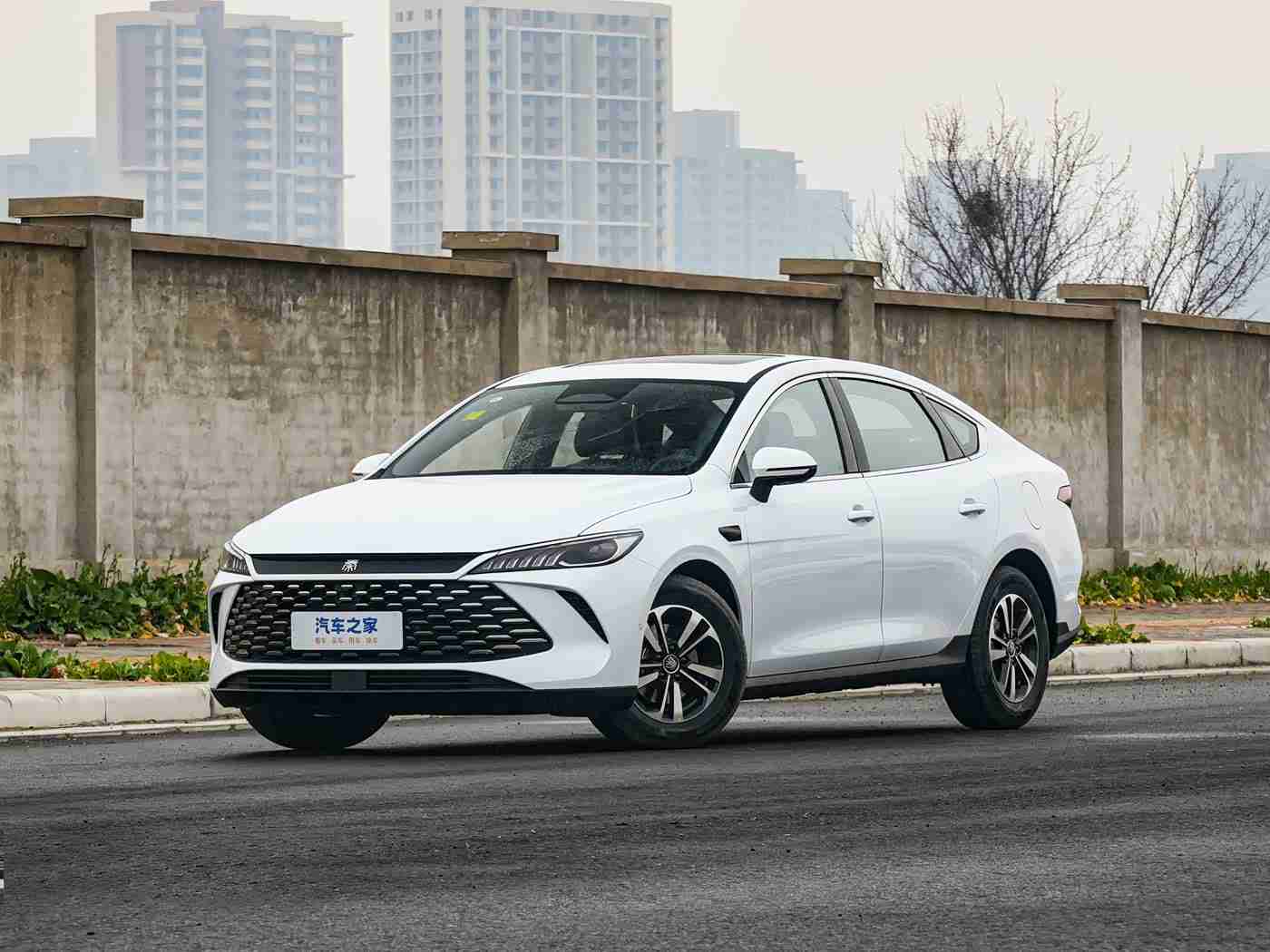 被女同桌调教成袜奴脚奴,“调教脚感至上,智能豪华驾驭新潮流”-4