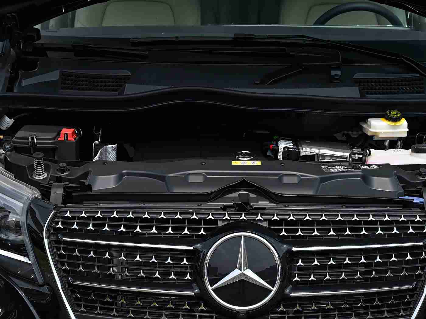 东京热成人app免费,丰田新锐驾享，智能动力，尊贵出行体验-3