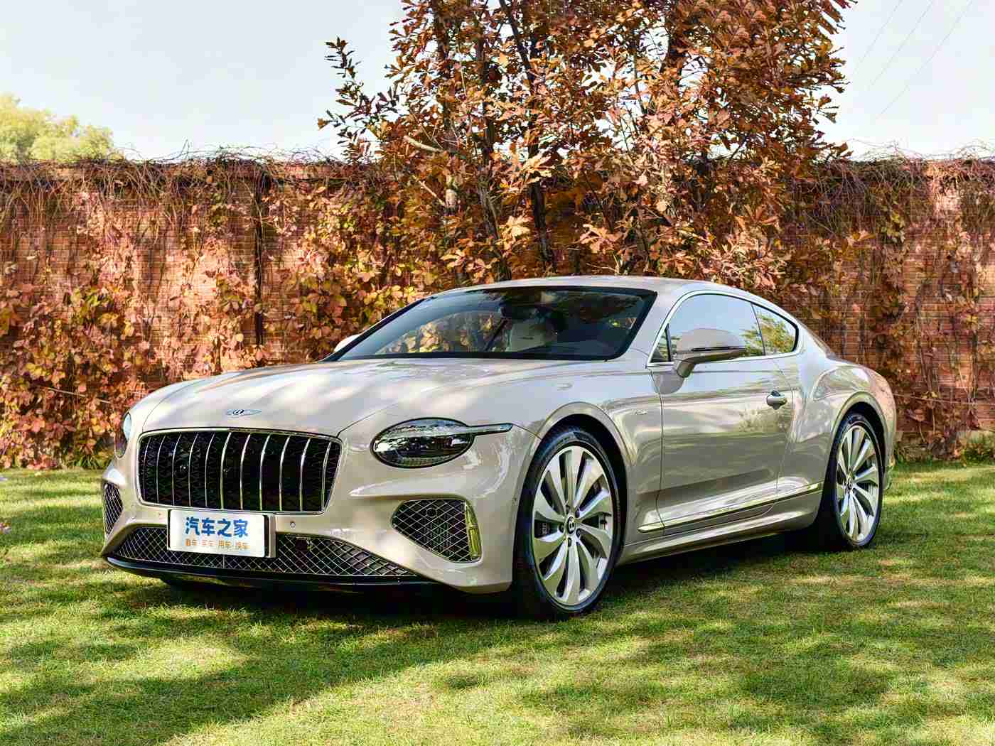 奴役 支配 极端 捆绑,“平衡性能与环保，亲民价格破局汽车行业，全新‘极端捆绑’车型惊艳登场”-2