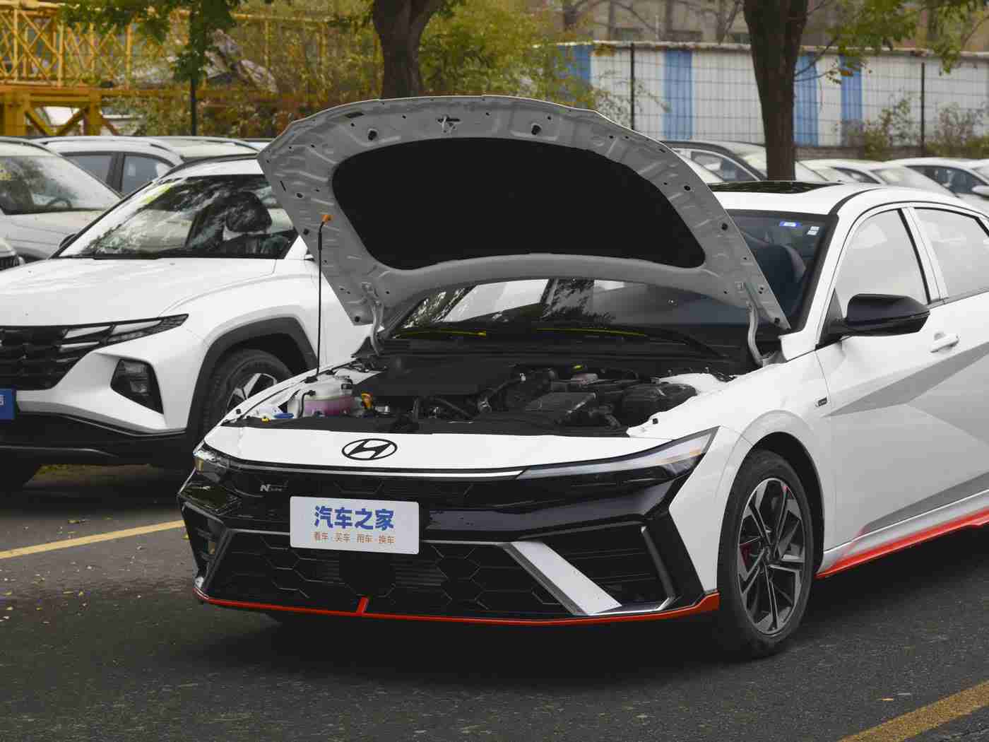 黄色app在线,汽车服务平台创新升级,绿色出行新体验引领行业变革-1