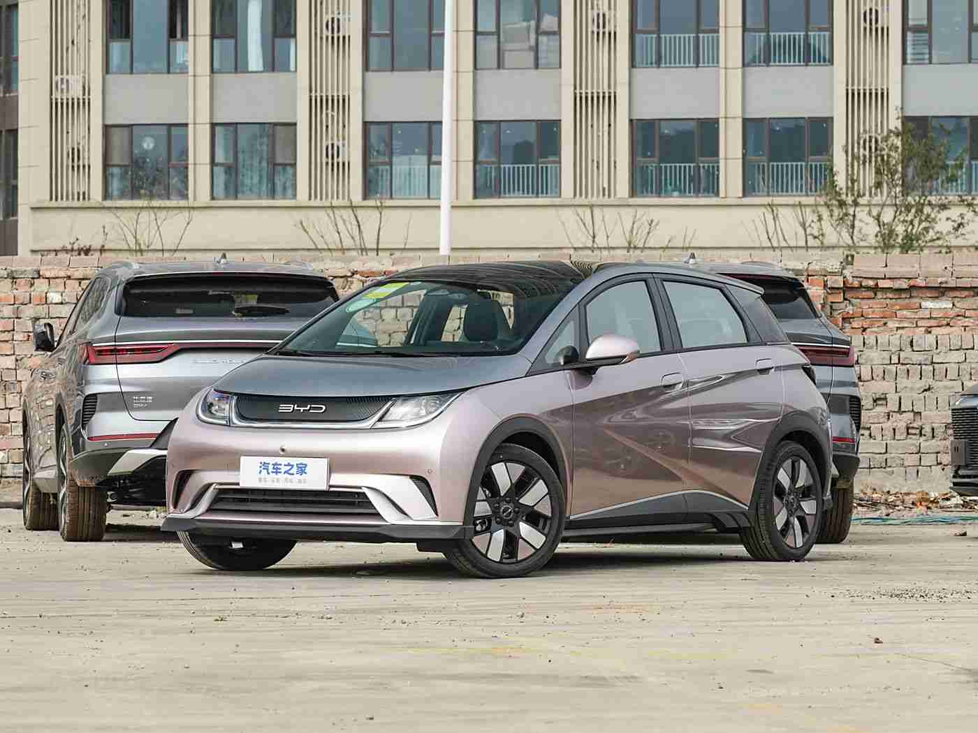 女人与公豬交酡全过程免费,创新动力引领潮流，亲民优惠助力购车新选择——新能源汽车备受热捧-1