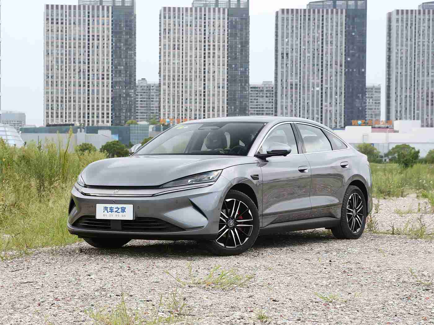 男人和雌性宠物交SSSCHD,未来美学,环保动力,宠物相伴——引领绿色出行新潮流-2