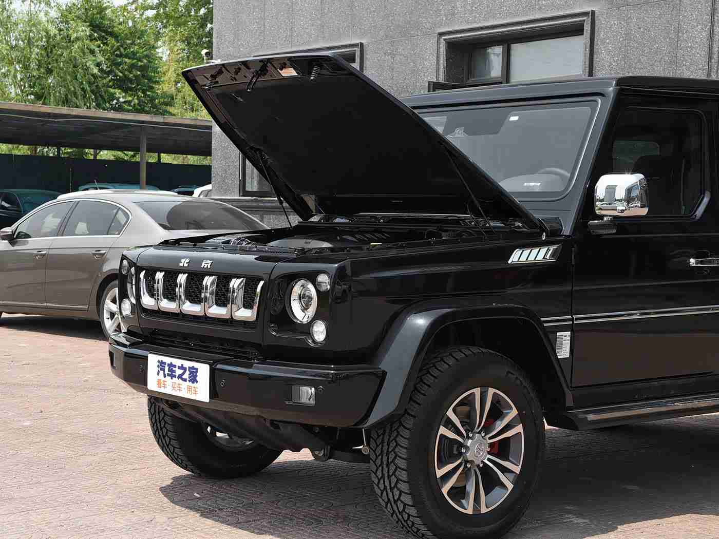 -美好生活,从今日开始,看见更大的世界抖音,新能源汽车与智能驾驶引领潮流，抖音助力汽车行业个性化变革-2