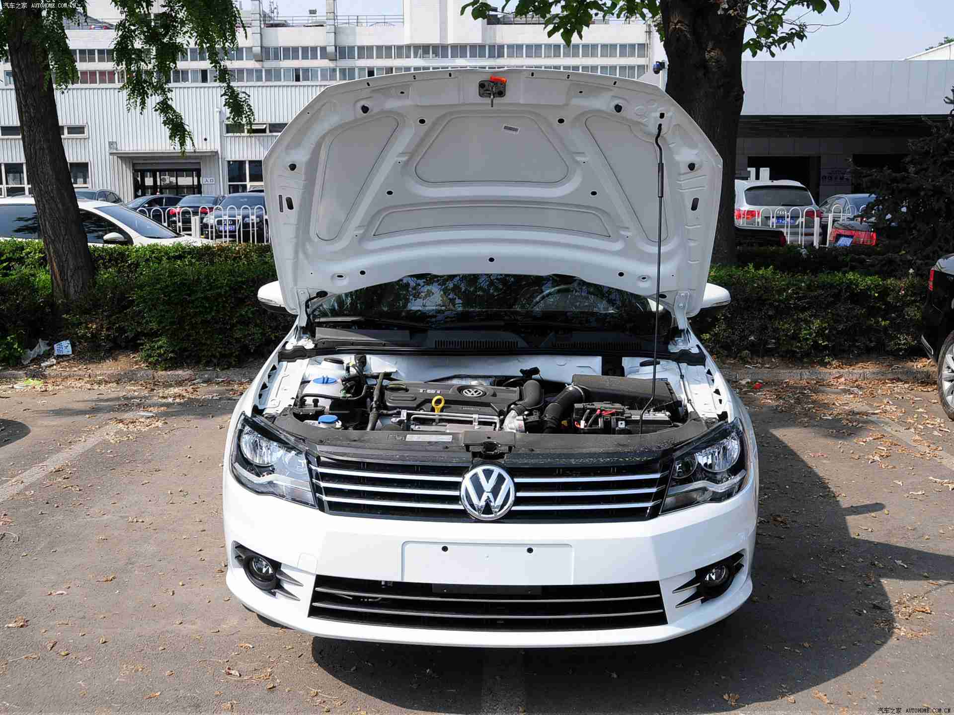 男生女生一起擦擦擦,车主齐聚清洁盛会,共筑绿色出行美好家园-3