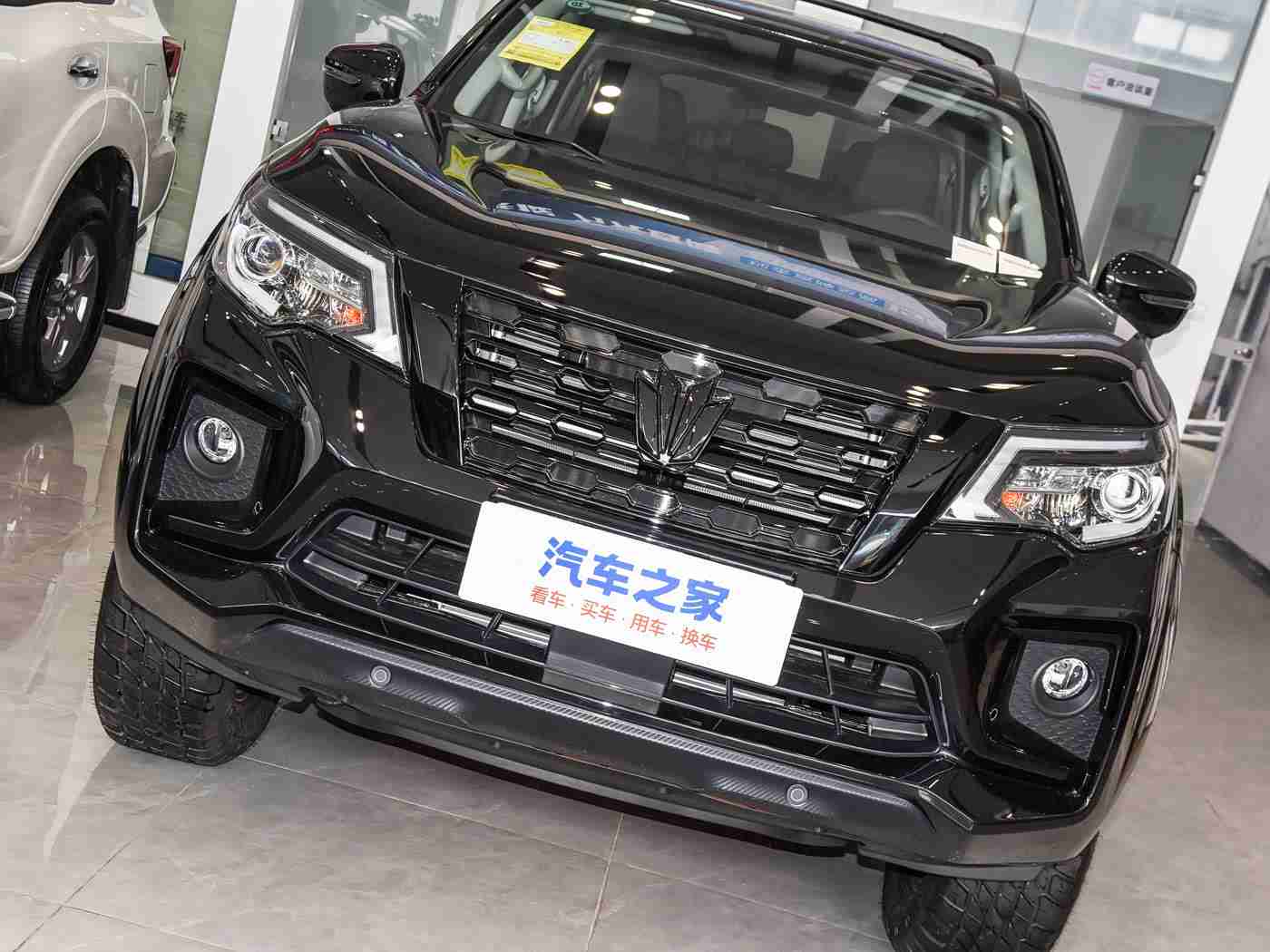 AV黑人,新能源汽车AV黑人惊艳亮相，引领智能环保出行新潮流-4