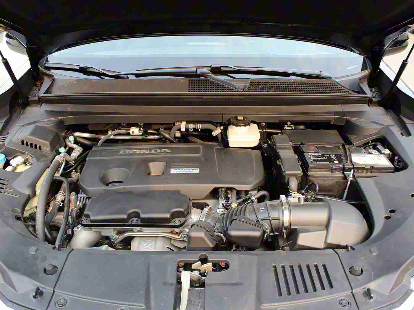 xXX少妇厨房XXX乱,“智领未来，绿动人生——全新车型刷新驾驶新境界”-2