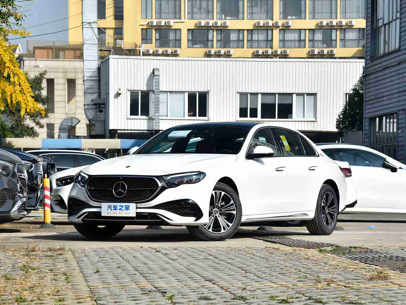 红猫大本营,红猫启航，新势力崛起：时尚动感，智驱未来，品质生活新选择-1