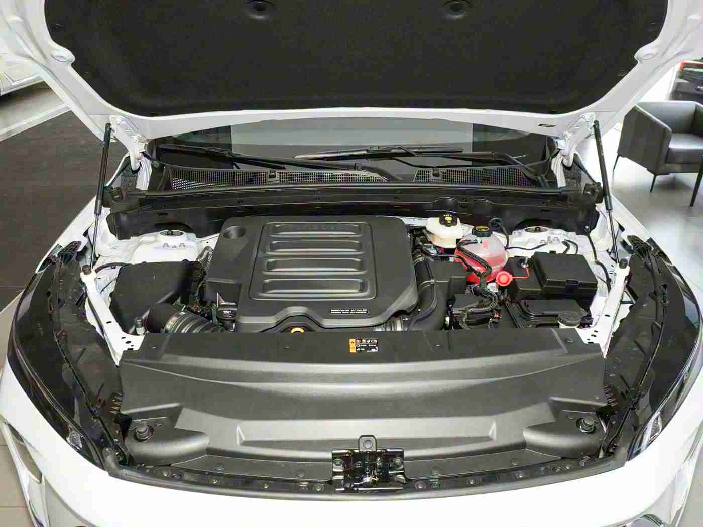 成色网站,新能源汽车领航者,500公里续航,L3自动驾驶,亲民价格,引领未来出行潮流-5