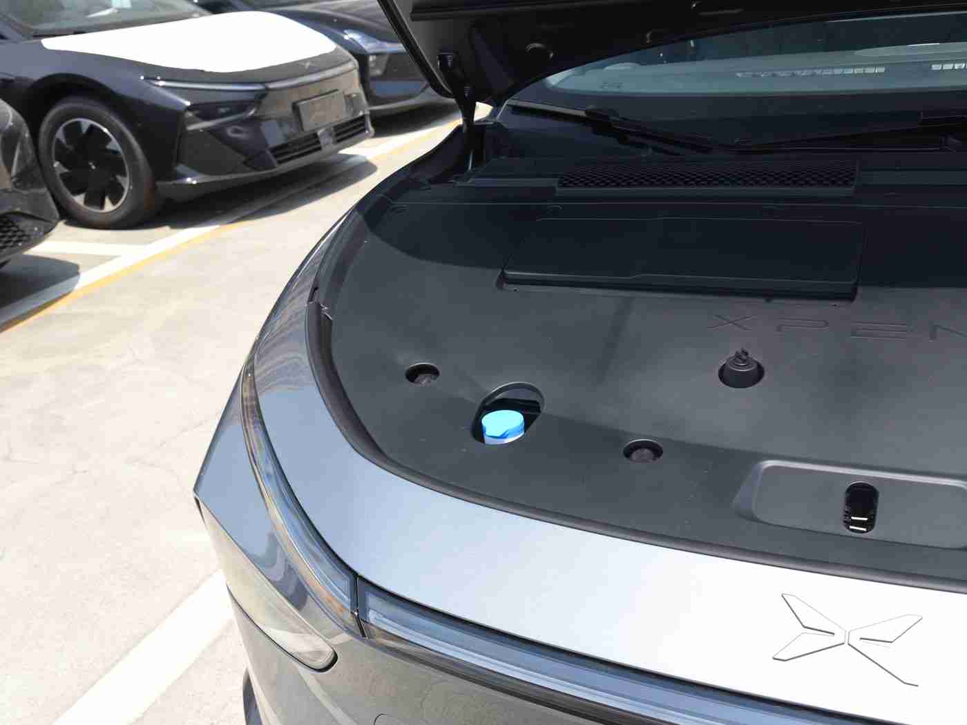 蝌蚪窝一个释放的平台,汽车爱好者新天地:蝌蚪窝社交平台引领互动交流新潮流-2