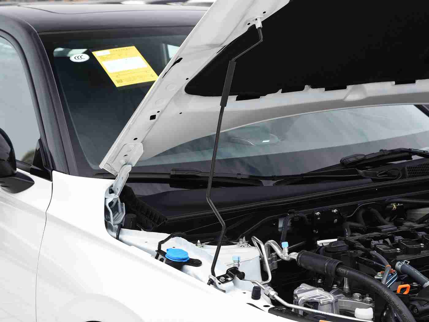 美女裸身软件,汽车资讯视觉盛宴,创新科技引领潮流平台-3