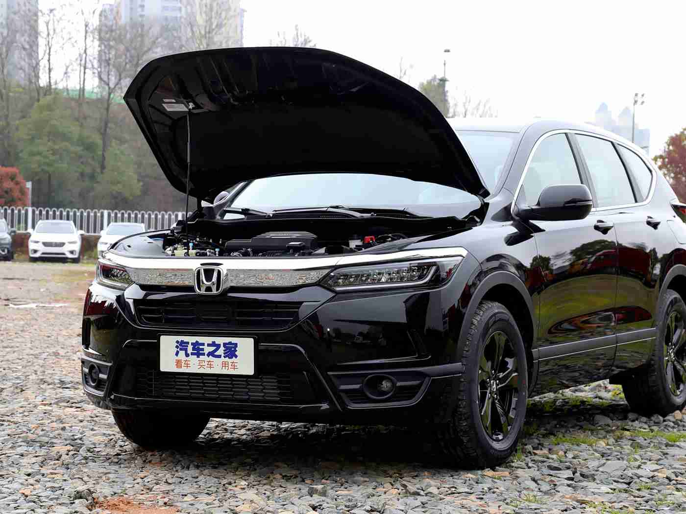 十大黄色禁用软件,“揭秘汽车安全隐忧:智能驾驶系统遭‘十大禁用软件’威胁,车主需加强防范!”-1