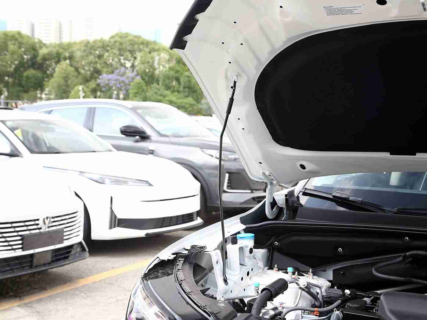 a级网站,科技驾驭，安全无忧，智能生活新体验-5