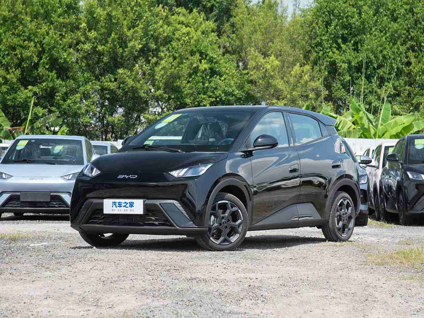 黄色软件大全OPPO,OPPO手机新神器：一站式应用平台，打造个性化便捷体验-1