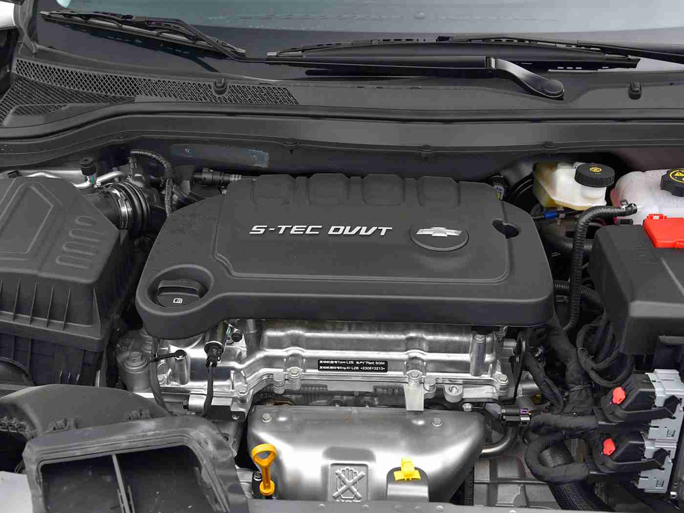 14女学生脱了内裤光着,“独特设计引关注，智能科技显实力：揭秘新锐汽车市场新宠儿”-1