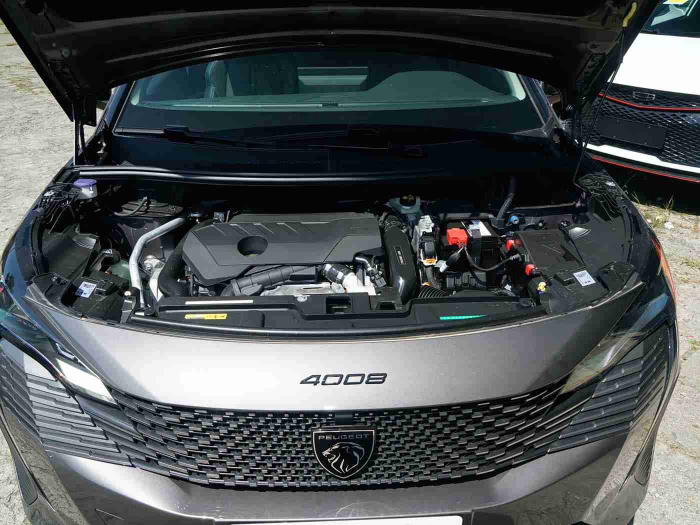 3.0.3免费oppo版破解大全免费下载单唐,“简约时尚新宠，单唐汽车亮相市场，性能智能双丰收，性价比高引关注”-2