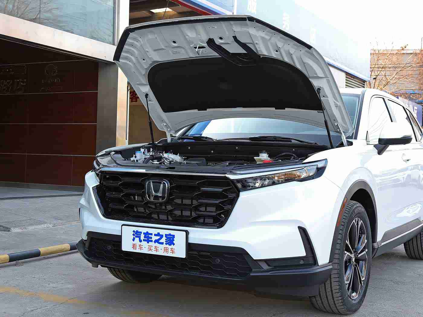 一二区,全新XXSUV亮相一二区，性能卓越外观时尚，领跑市场备受瞩目-1