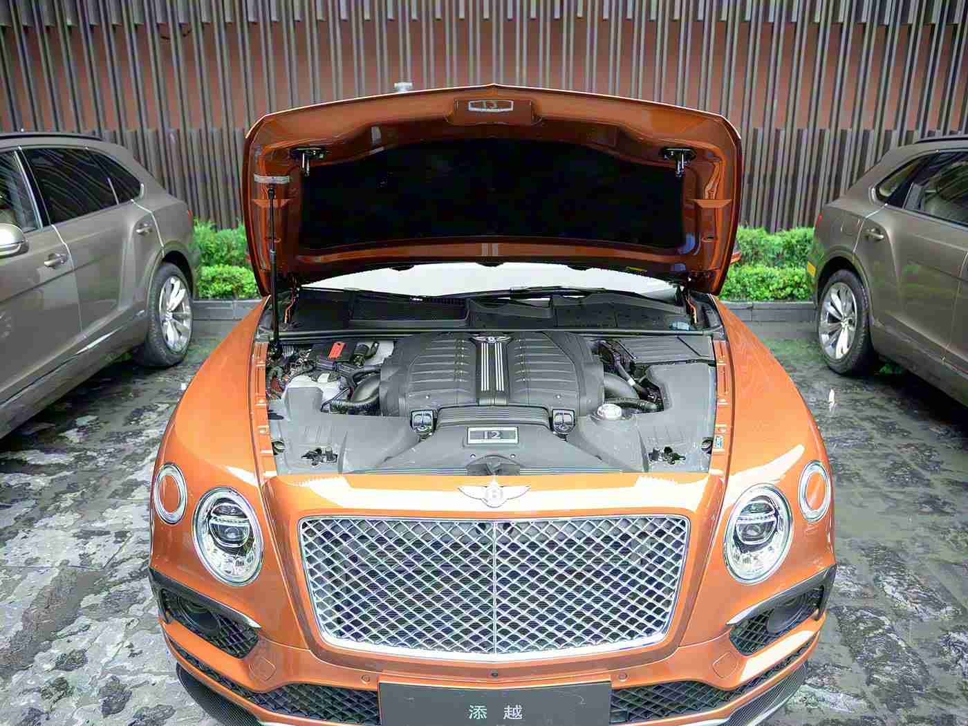 黄色软件下载3.0.3免费,全新智能升级，汽车软件3.0.3免费上线，引领驾驶体验新篇章-1