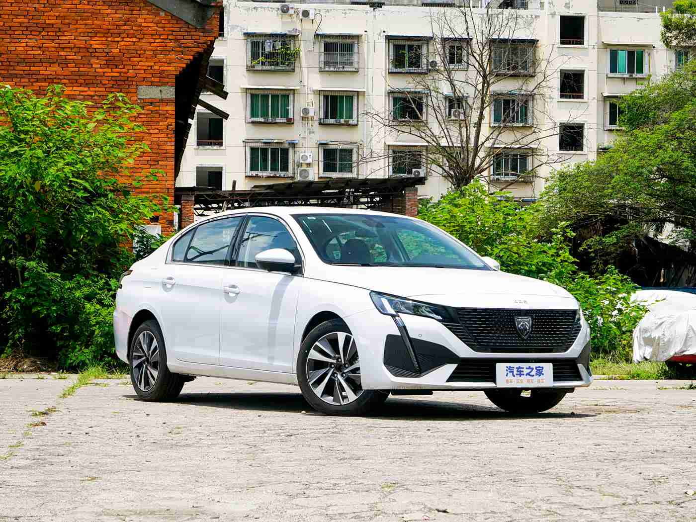 Chinese体育生自慰XXX,中国体育才子新能源汽车电池技术创新，为行业发展注入新活力-1