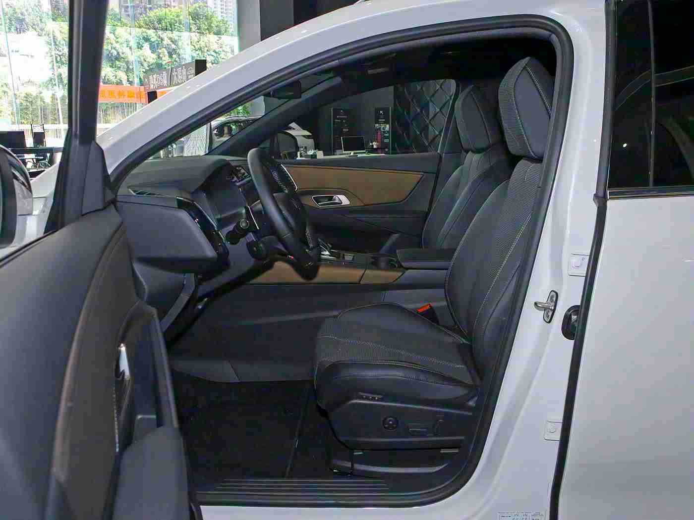 欧洲一区,新能源汽车崛起,欧洲汽车市场变革:绿色、智能、共享新篇章-3