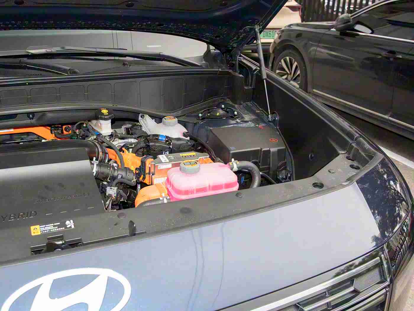 搞黄软件,智能辅助新宠，汽车生活更便捷-2