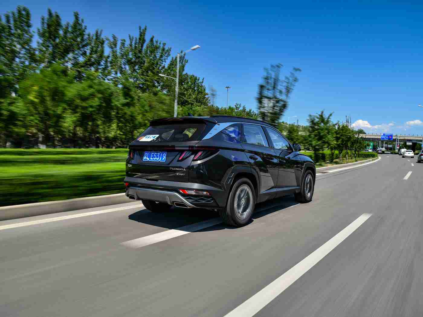 嫩叶草隐藏路线,智能导航新宠“嫩叶草”引领绿色出行潮流，车主追捧新选择-4