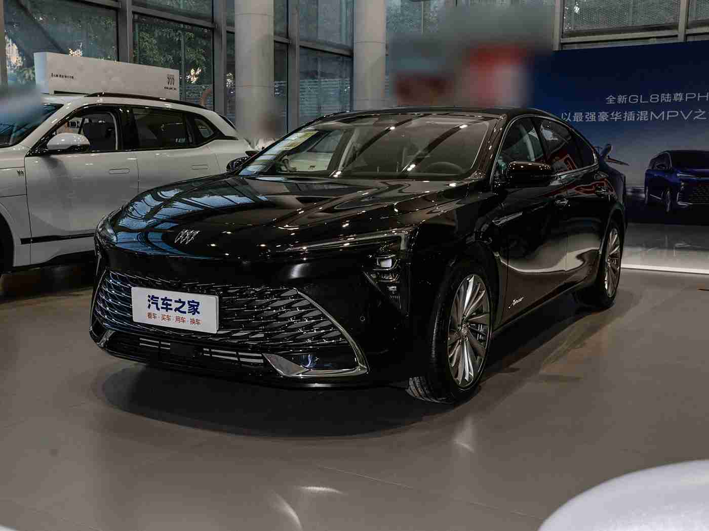 男人啪啪雌性宠物,汽车新潮流：独特设计宠物风，智能科技领航出行体验-2