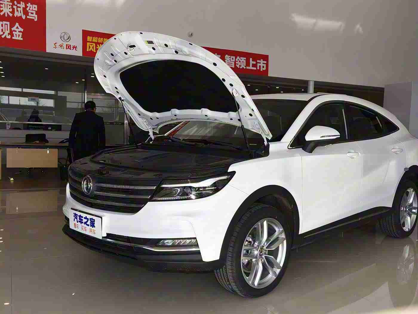 王者荣耀西施无小内无爱心特效吗,“创新设计引领潮流，西施汽车独特科技配置受瞩目：无小内豪华体验来袭”-3