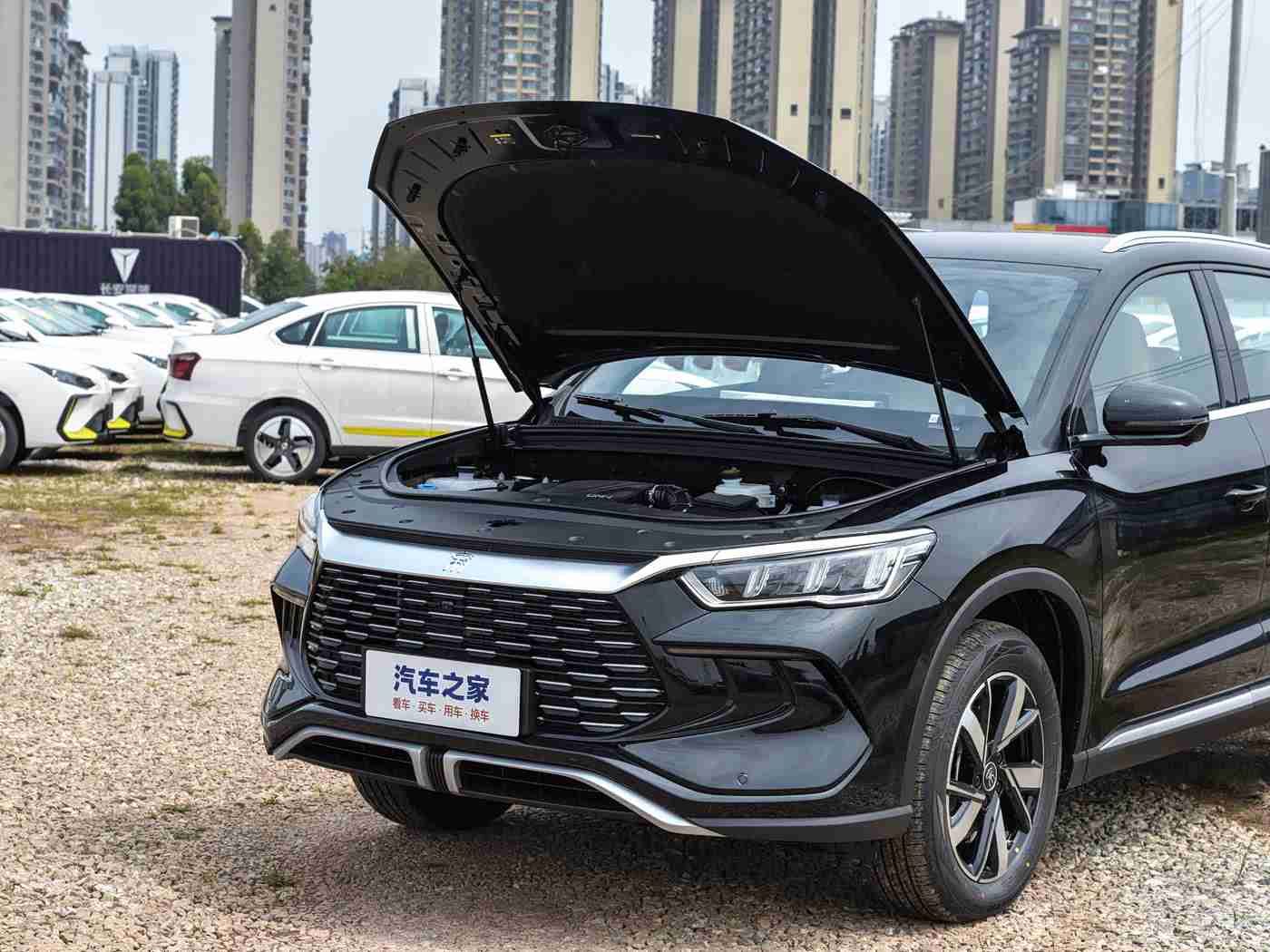 东北乱伦,东北风情驰骋，智驱未来潮流-3