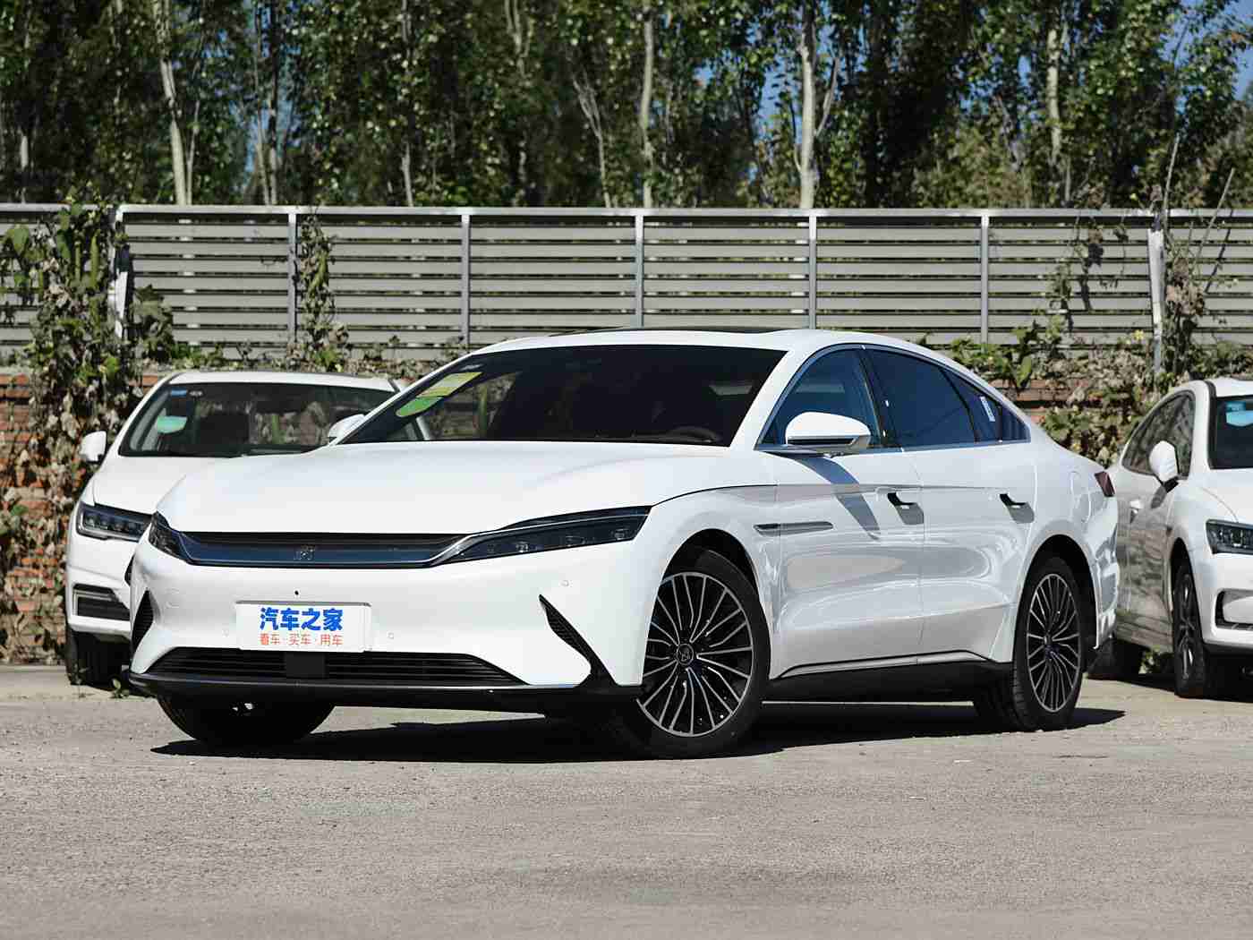 夜操,星光夜途,安全续航,新能源汽车挑战之夜-2