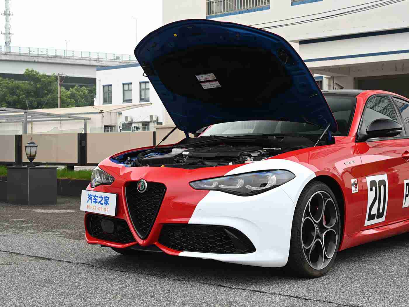 黄色软件免费下,汽车资讯新神器，“免费下载”引领便捷生活体验-4