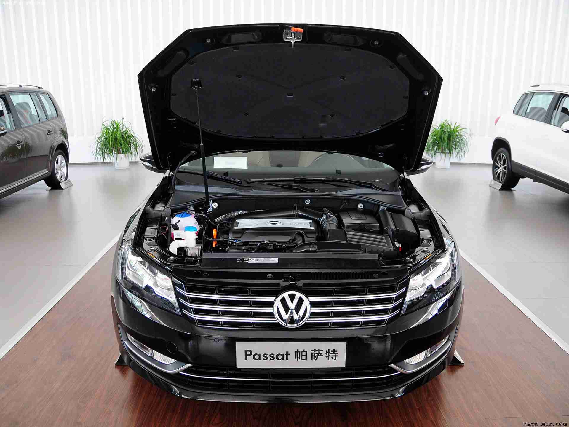 蜜桃污,科技赋能，环保先锋：揭秘“蜜桃污”汽车如何引领行业潮流-1