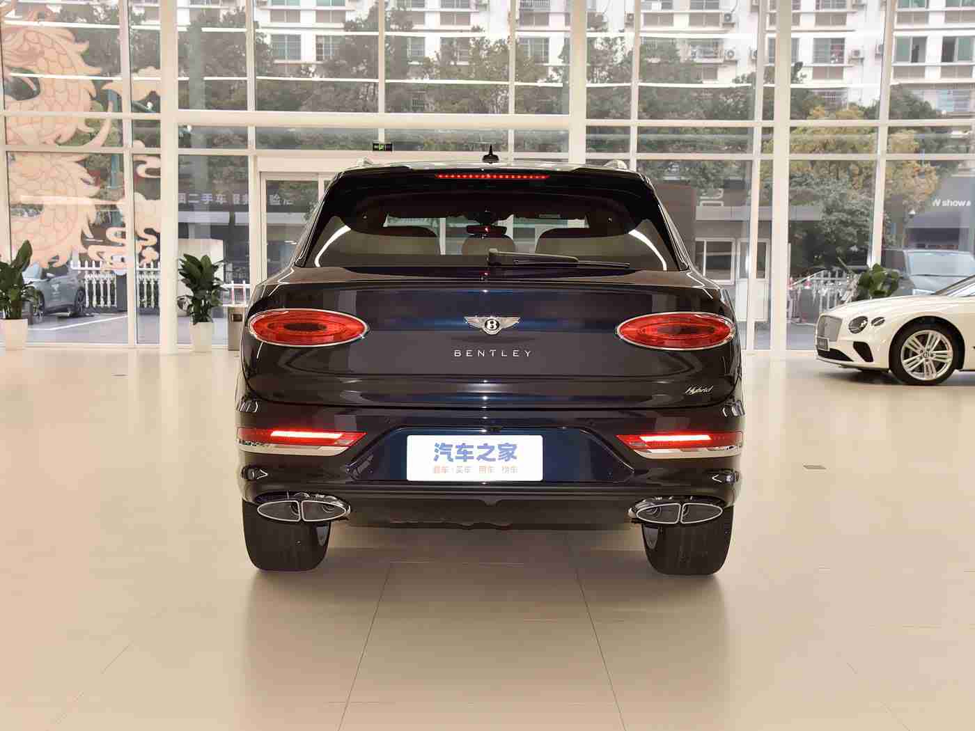 黄3.0.3,全新力作惊艳亮相,黄系车型引领汽车市场新潮流-1