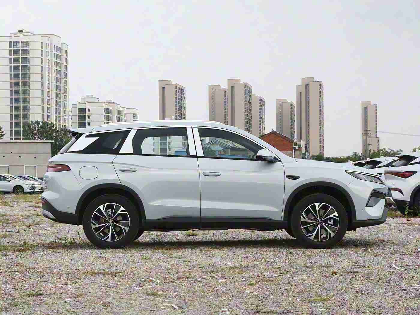 男人和女人打扑克,汽车品牌创新互动:轻松扑克游戏助力提升品牌形象,吸引年轻消费者关注-2