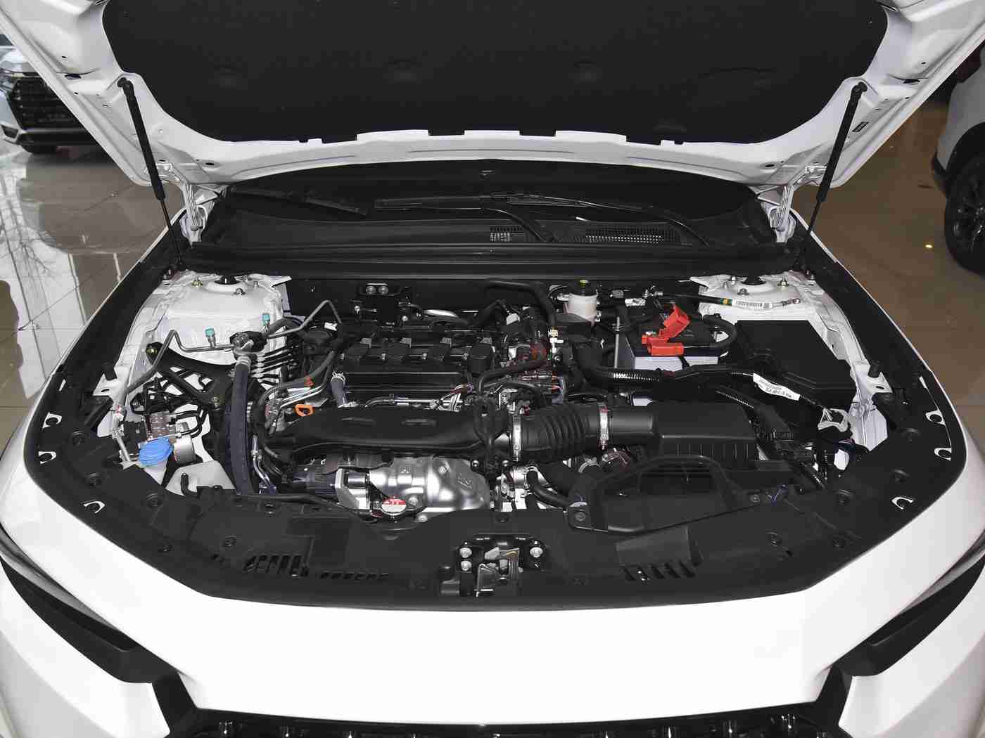 挠脚心+折磨+抹油,汽车保养革新,三步到位,焕新驾驭体验-5