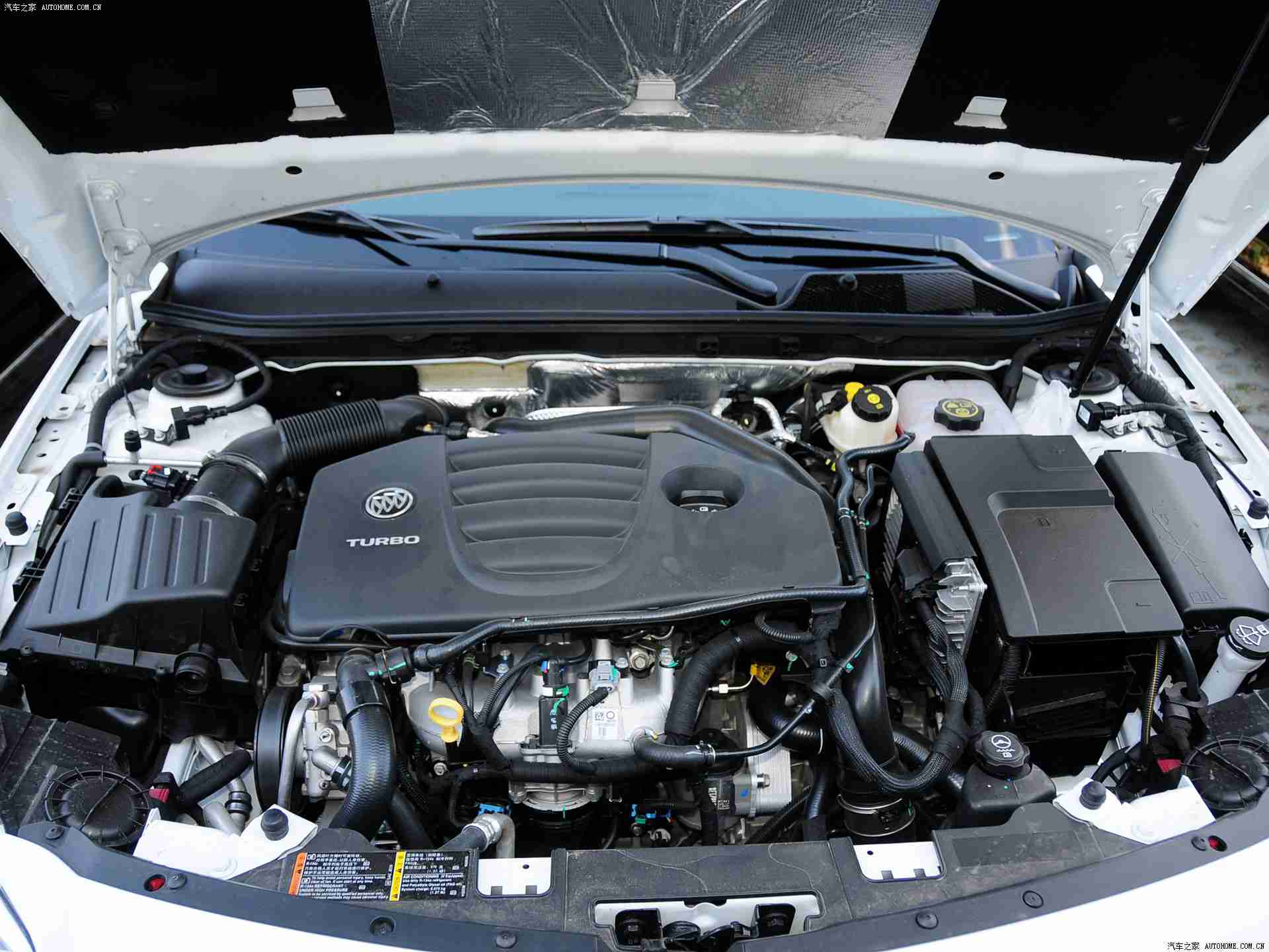 未满十八岁网站,特斯拉Model Y领衔，四大爆款新车亮相，引领科技时尚潮流，满足年轻消费需求-2