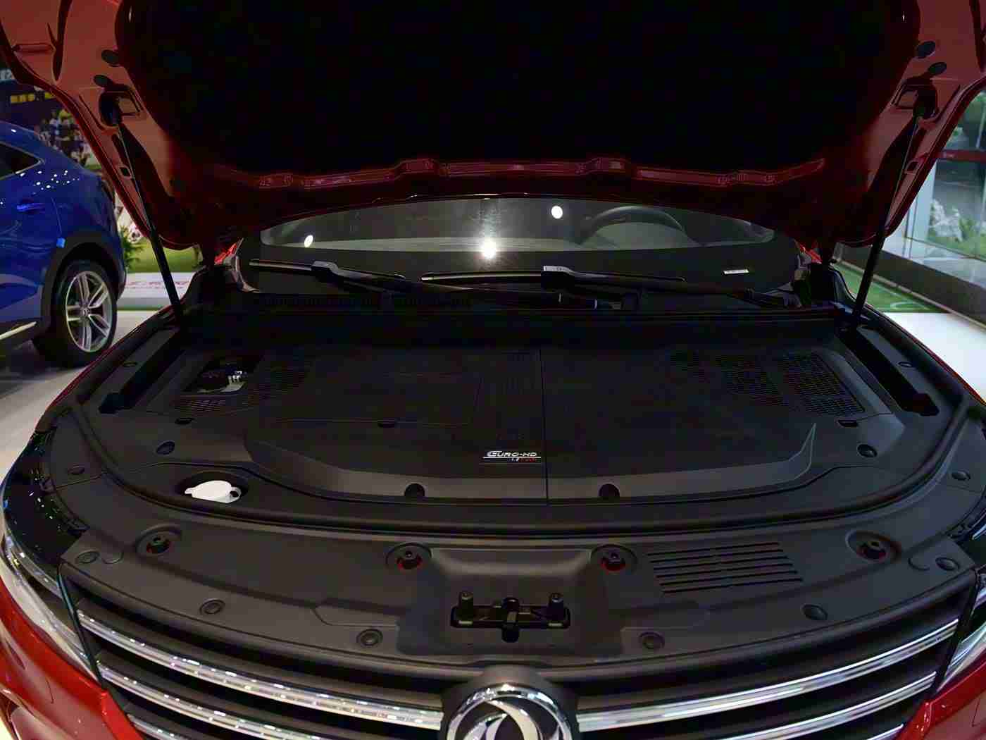 色多多在线,新能源新潮流，平台共筑绿色出行新时代-3