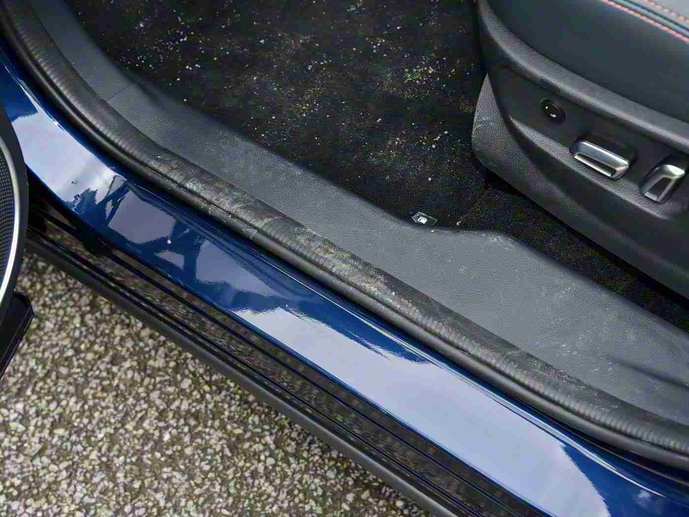 嫩叶草隐藏路线,智能导航新宠“嫩叶草”引领绿色出行潮流，车主追捧新选择-3