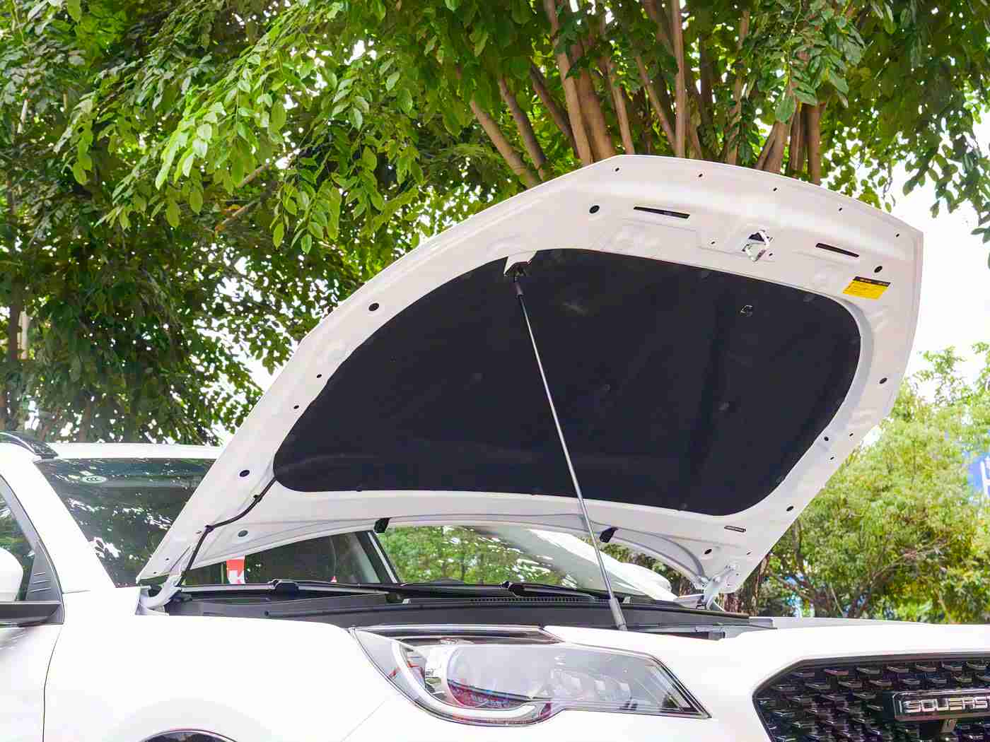 黄色软件在线观看,车载娱乐警惕风险,安全平台推荐护航驾驶新体验-2