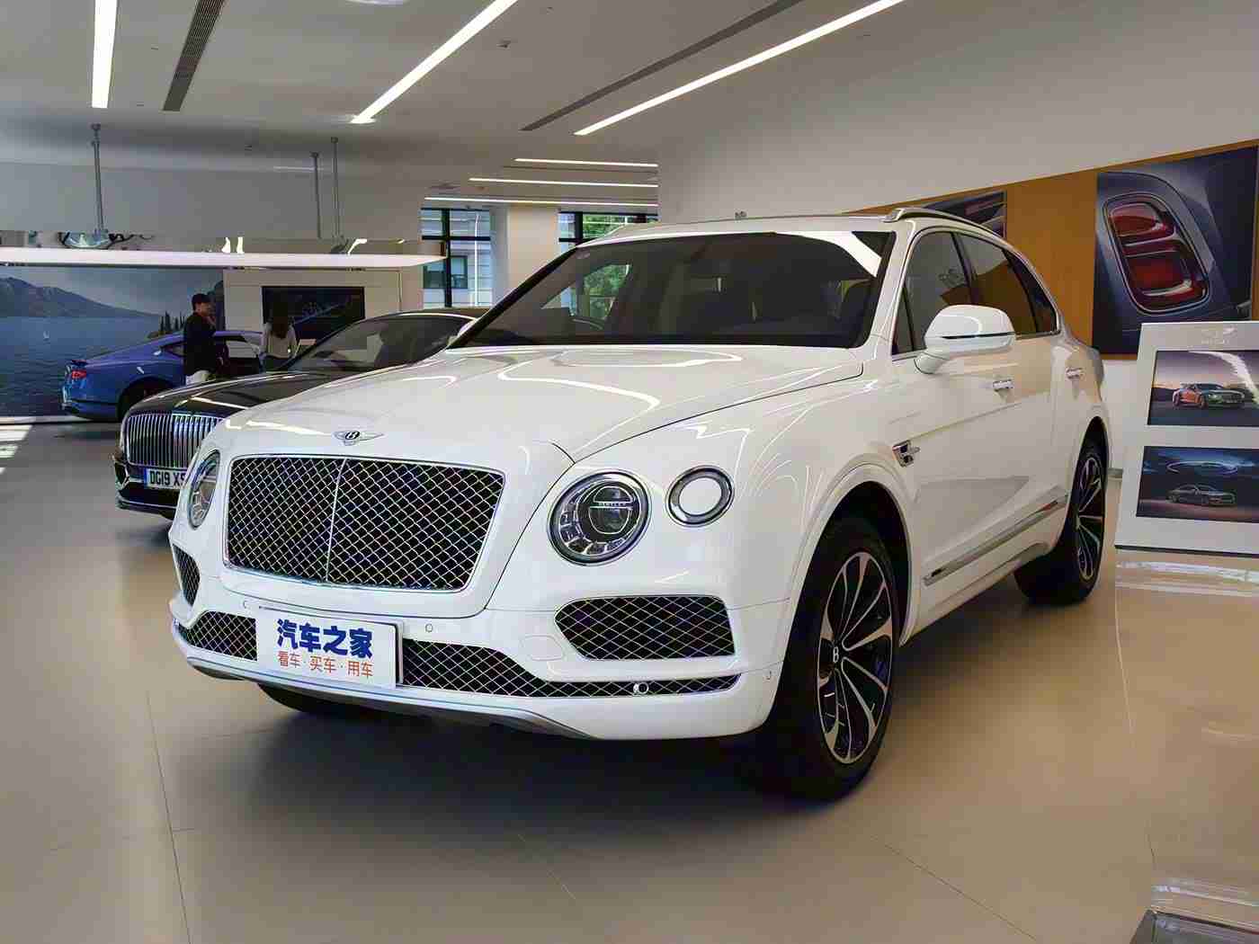 乱伦视频网站,智驱未来，绿行天下：揭秘汽车行业革新浪潮-2