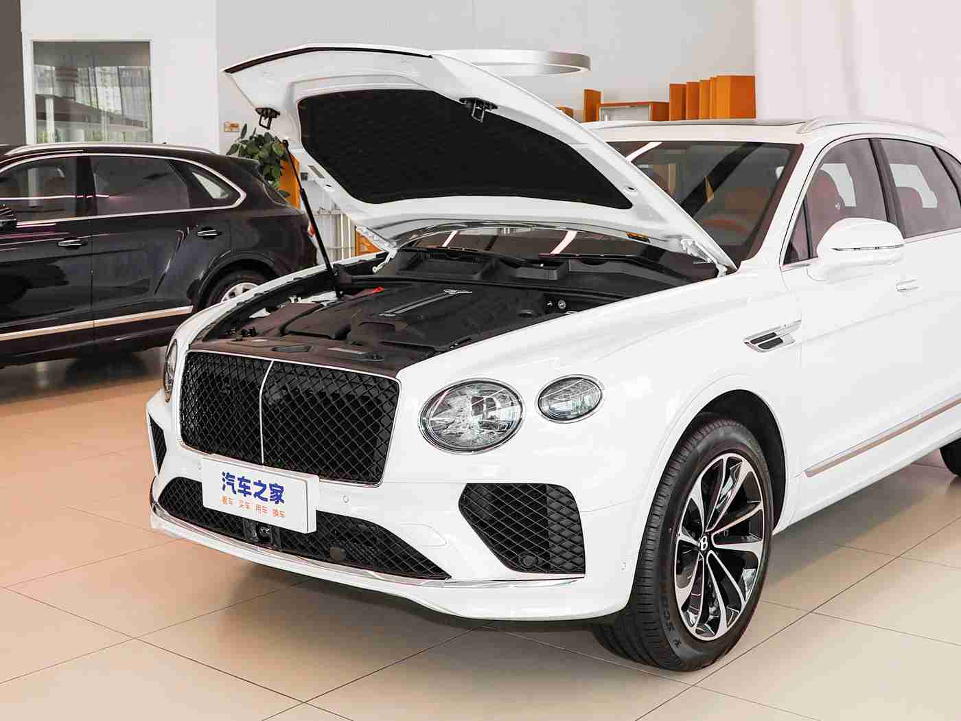 神秘网站,新能源汽车领航者：神秘网站曝光全新智能车型，开启未来出行新篇章-1