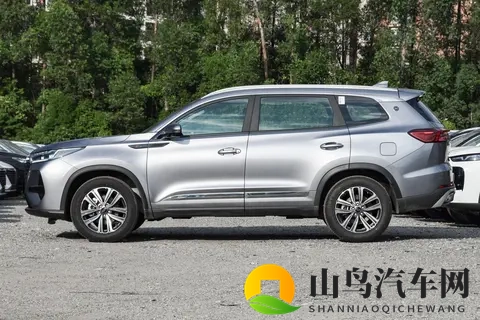 瑞虎8 PRO 2025款290T两驱豪华版：性价比之王的实力剖析-2