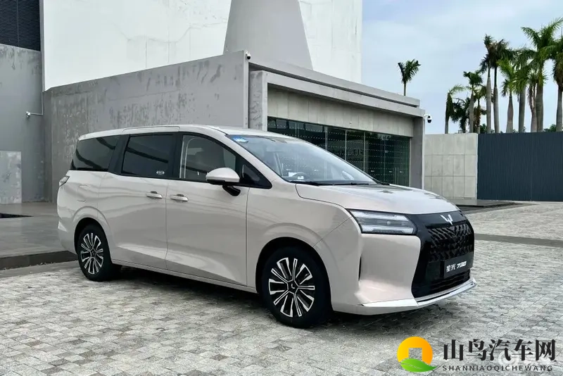 不到8万买家用大七座，油、电、混动全都有！-1