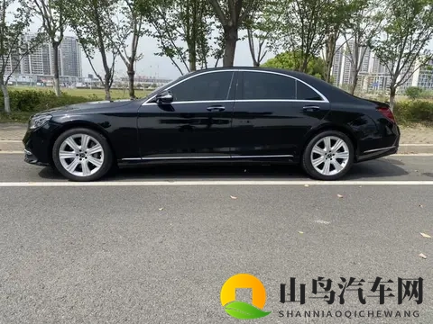 六年奔驰S级，当年落地百万，现在不到40万，商务人士优选？-2