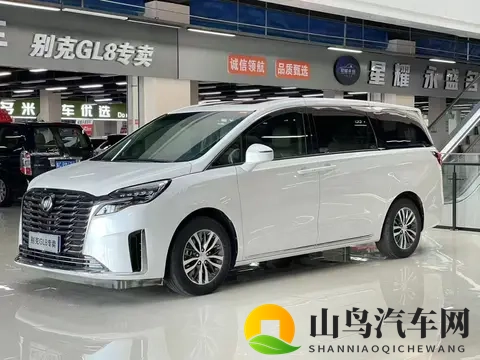 24万拿下准新一手别克GL8陆尊,宜商宜家!-2