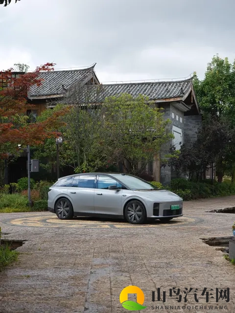 别在技术爆炸期,当汽车的“小白鼠”-3