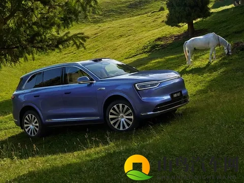 名字好听的8个汽车品牌，长安、问界、吉利、奇瑞在榜-1