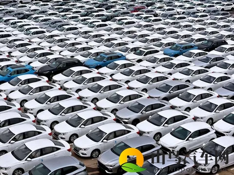 新能源车销售占据半壁江山,蓝海市场切换变红海!-2